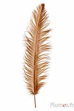 Struisvogel - 30-40 cm - brons
